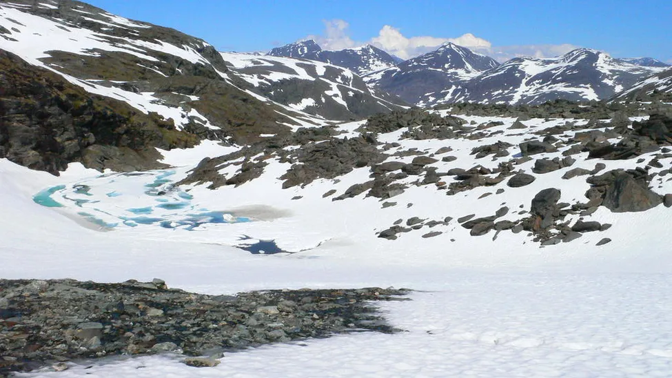 Klicka för att förstora