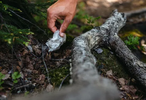Skräpet i fjällen minskar – särskilt toalettpapper