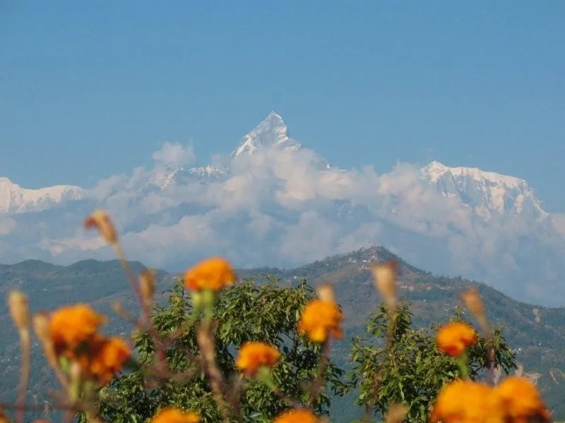 Klicka för att förstora