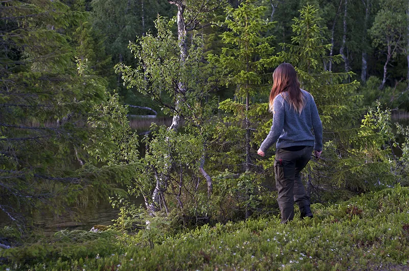 Klicka för att förstora