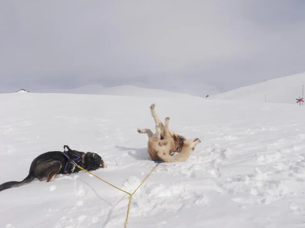 Klicka för att förstora