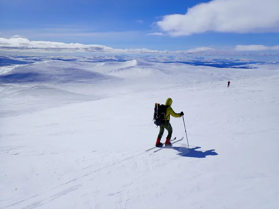 Klicka för att förstora