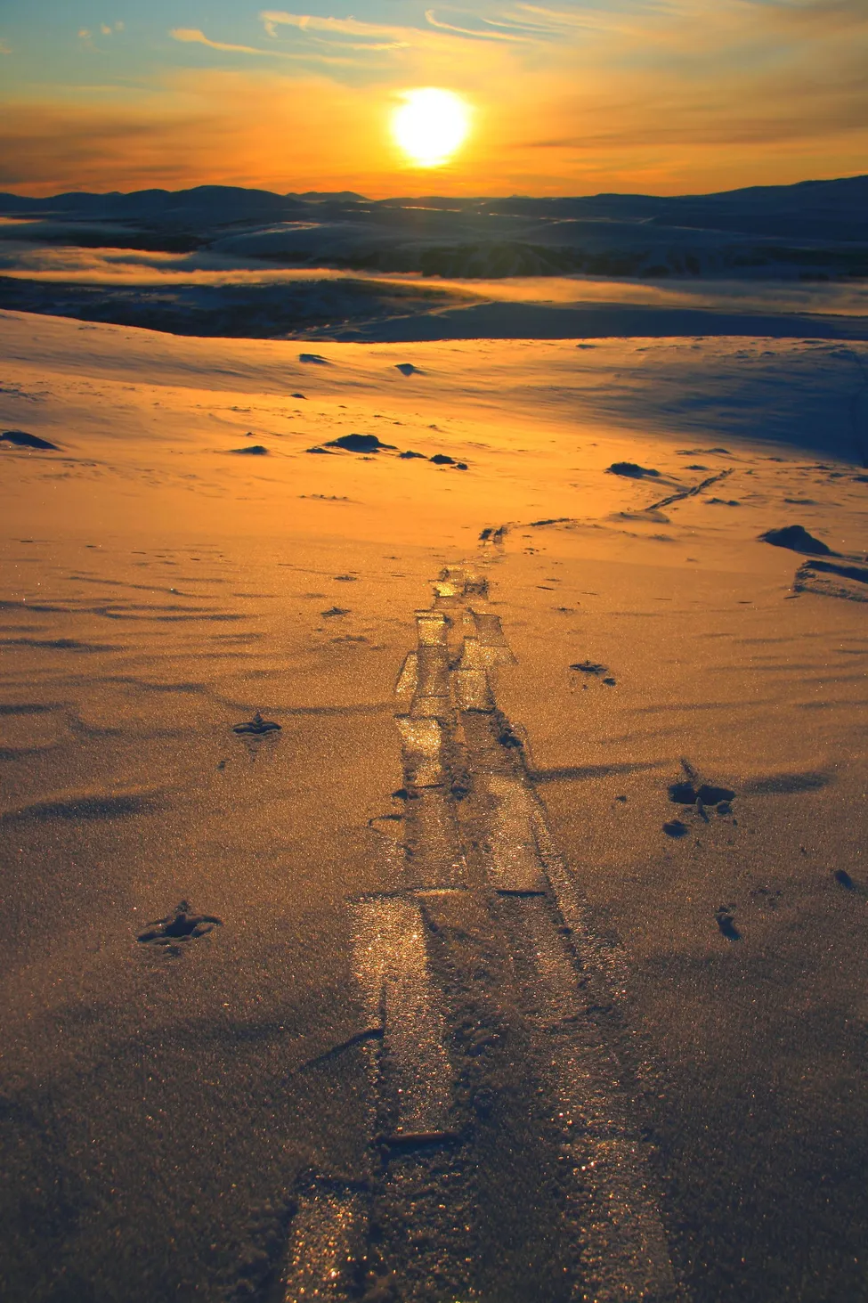 Klicka för att förstora