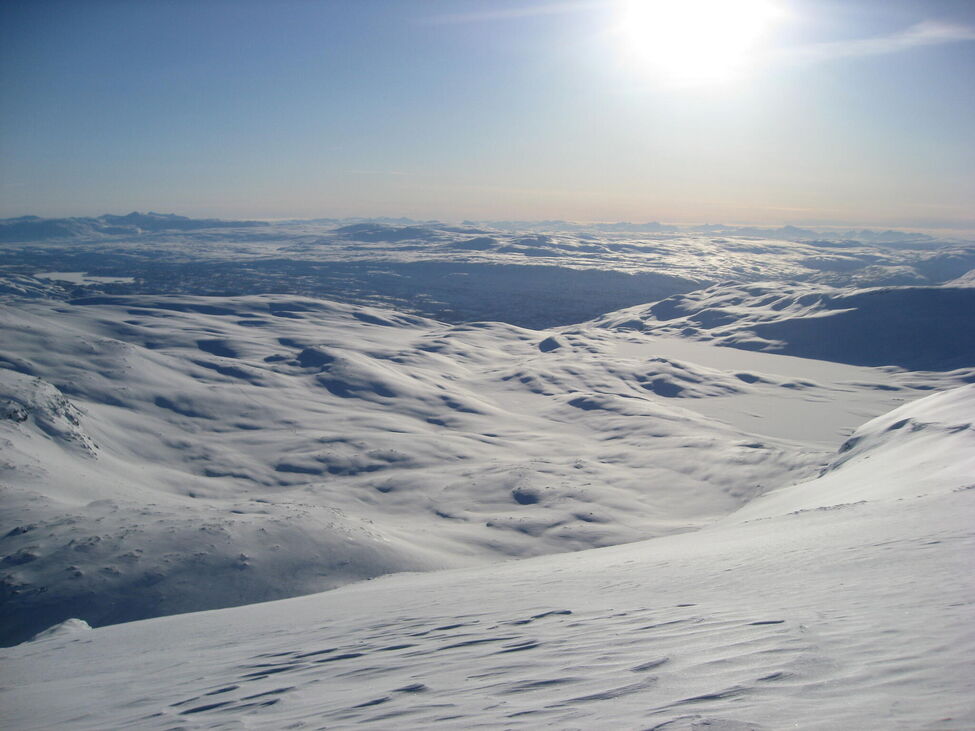 Klicka för att förstora