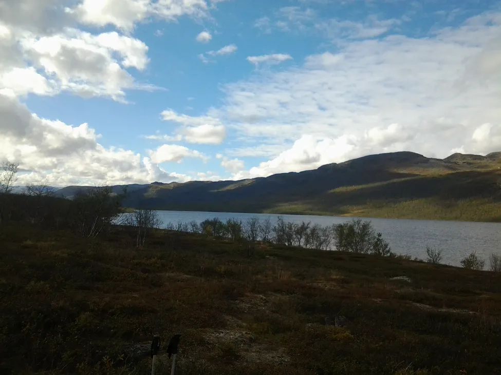 Klicka för att förstora