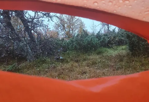 14 september – en något grå dag