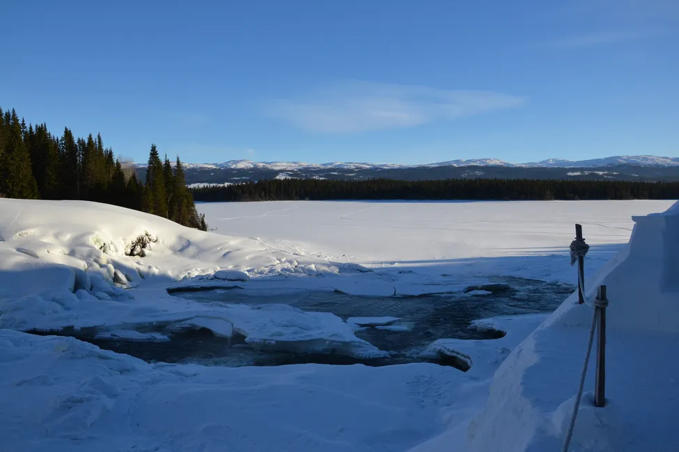 Klicka för att förstora