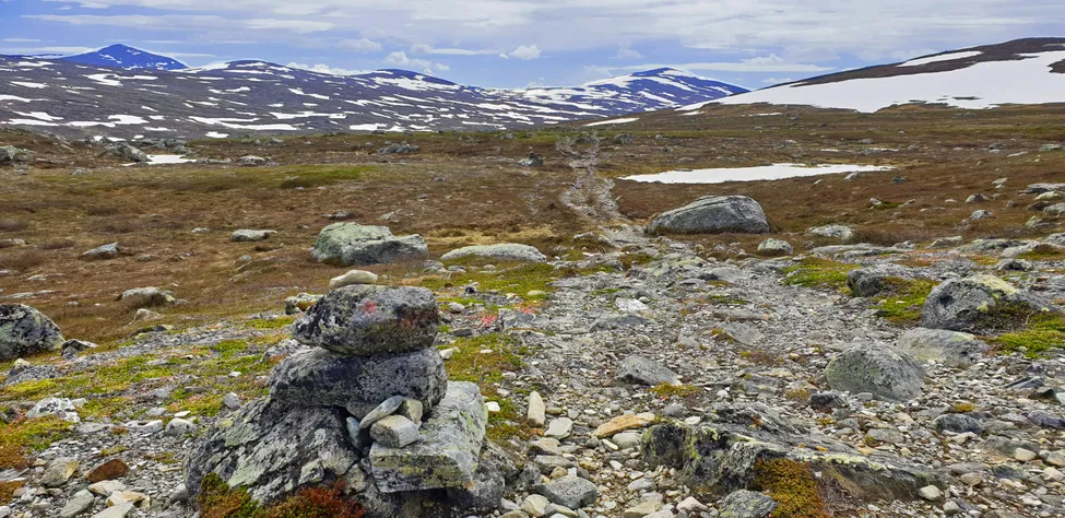 Klicka för att förstora