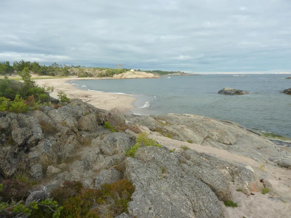 Klicka för att förstora