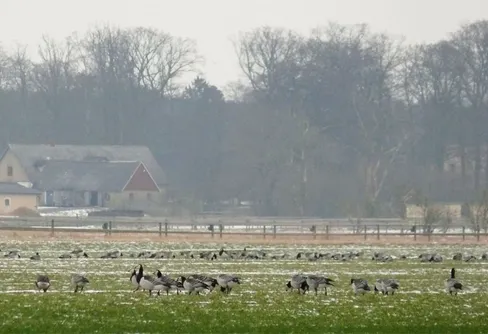 Skåne: min kalfjälls-simulator