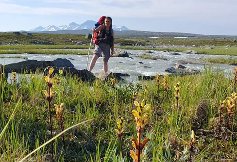 Sarektjåhkkå Nordtoppen