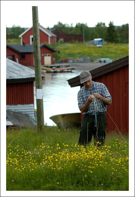 Klicka för att förstora