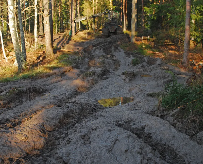 Klicka för att förstora