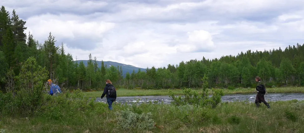 Klicka för att förstora