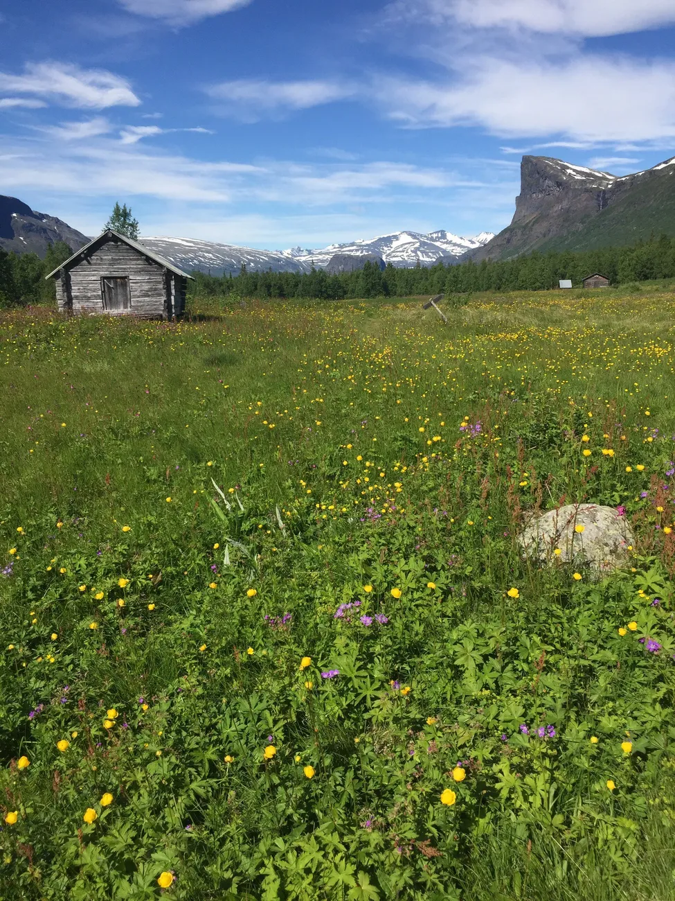 Klicka för att förstora
