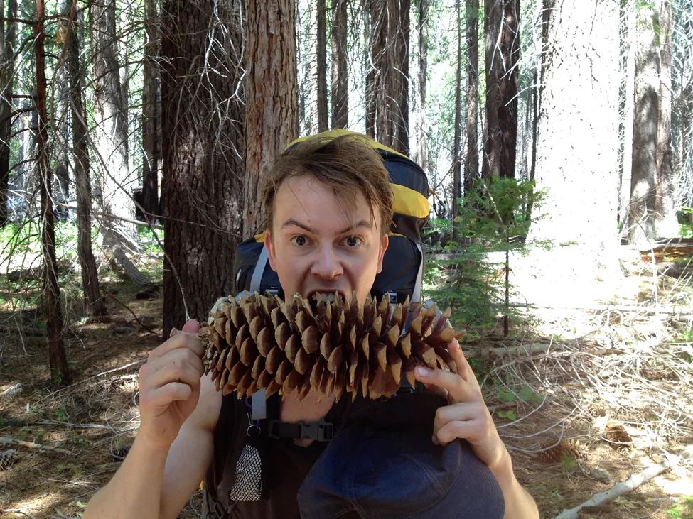 Klicka för att förstora