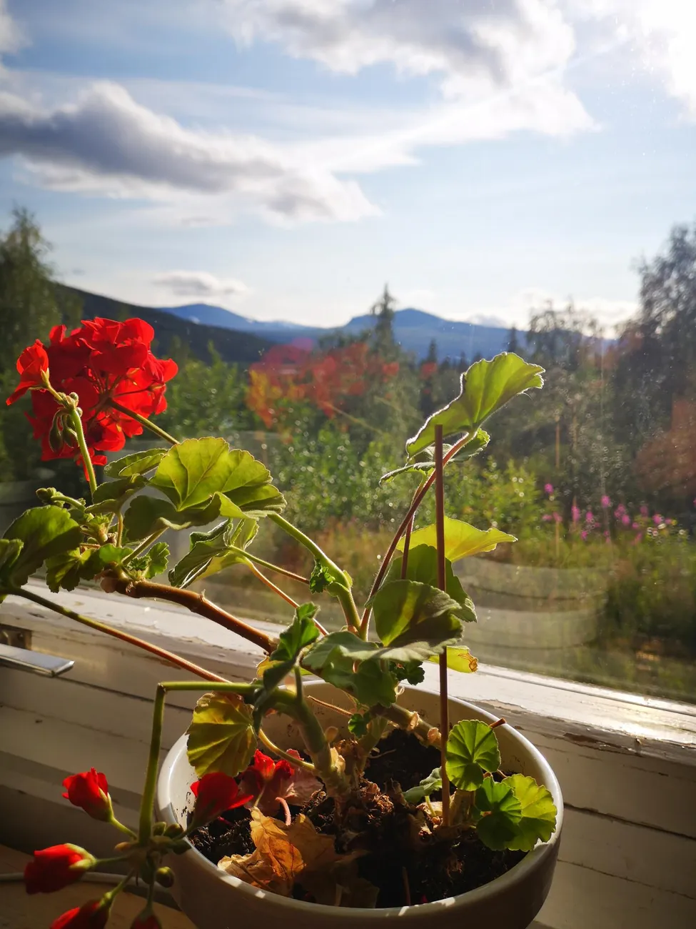 Klicka för att förstora