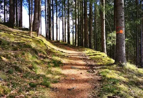 Flera digitala friluftsguider släpps