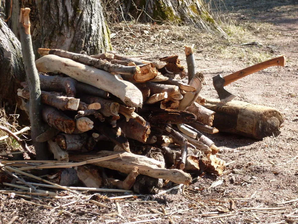 Klicka för att förstora