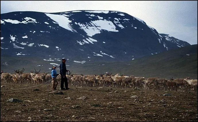 Klicka för att förstora