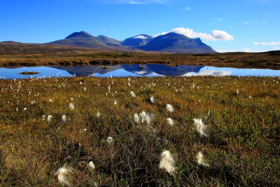 Klicka för att förstora