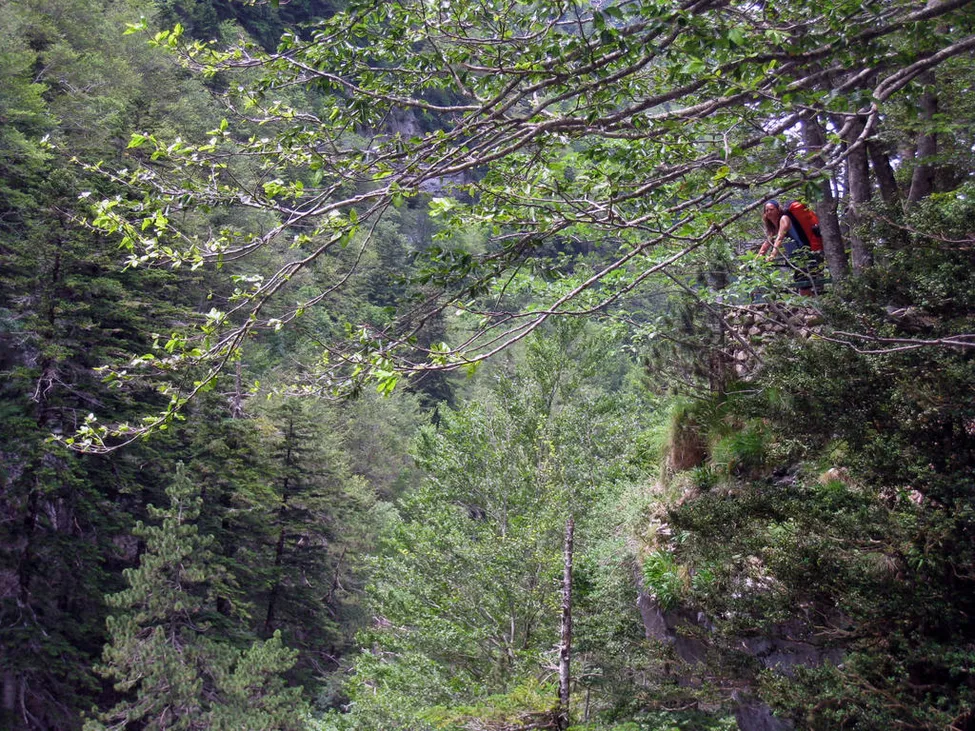 Klicka för att förstora