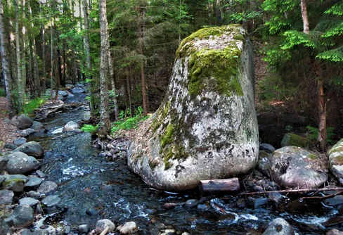 ???????????????????????????????