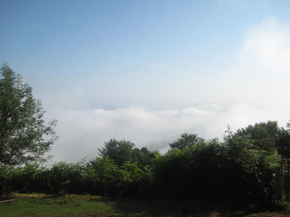 Klicka för att förstora