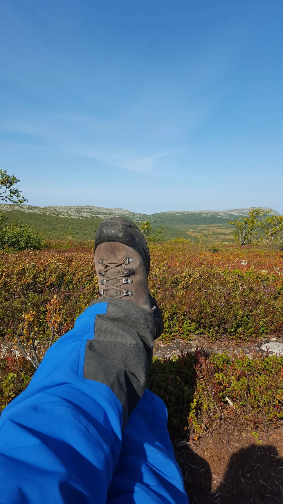 Klicka för att förstora