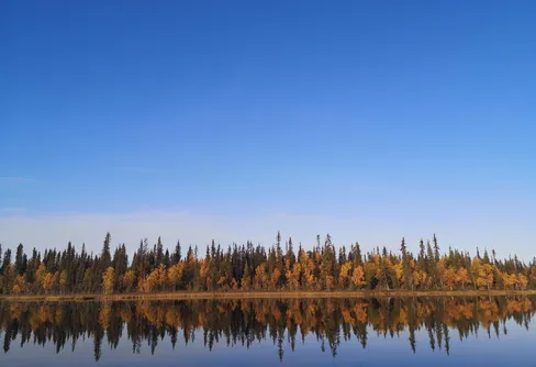 Muddus - klafsa på myren