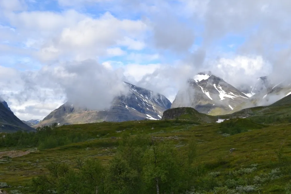 Klicka för att förstora