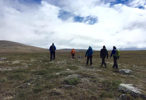 Svenska fjällen lockar allt fler utländska besökare