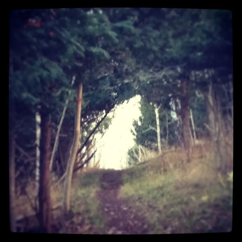 Klicka för att förstora