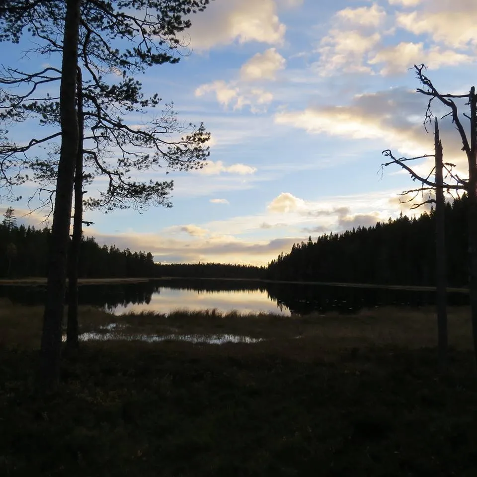 Klicka för att förstora