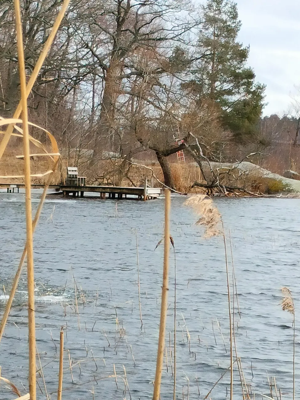 Klicka för att förstora