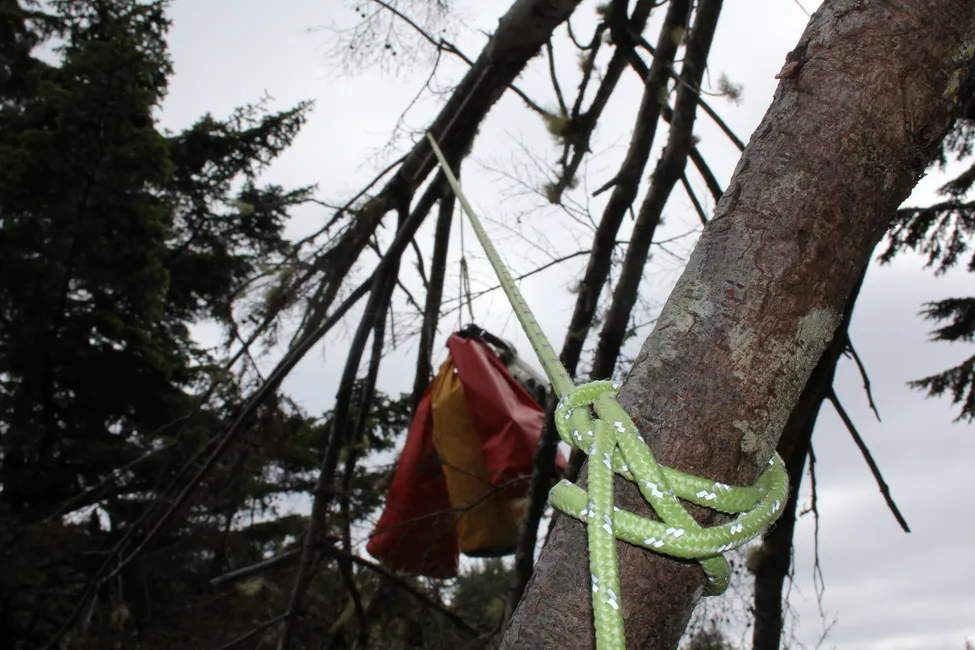 Klicka för att förstora