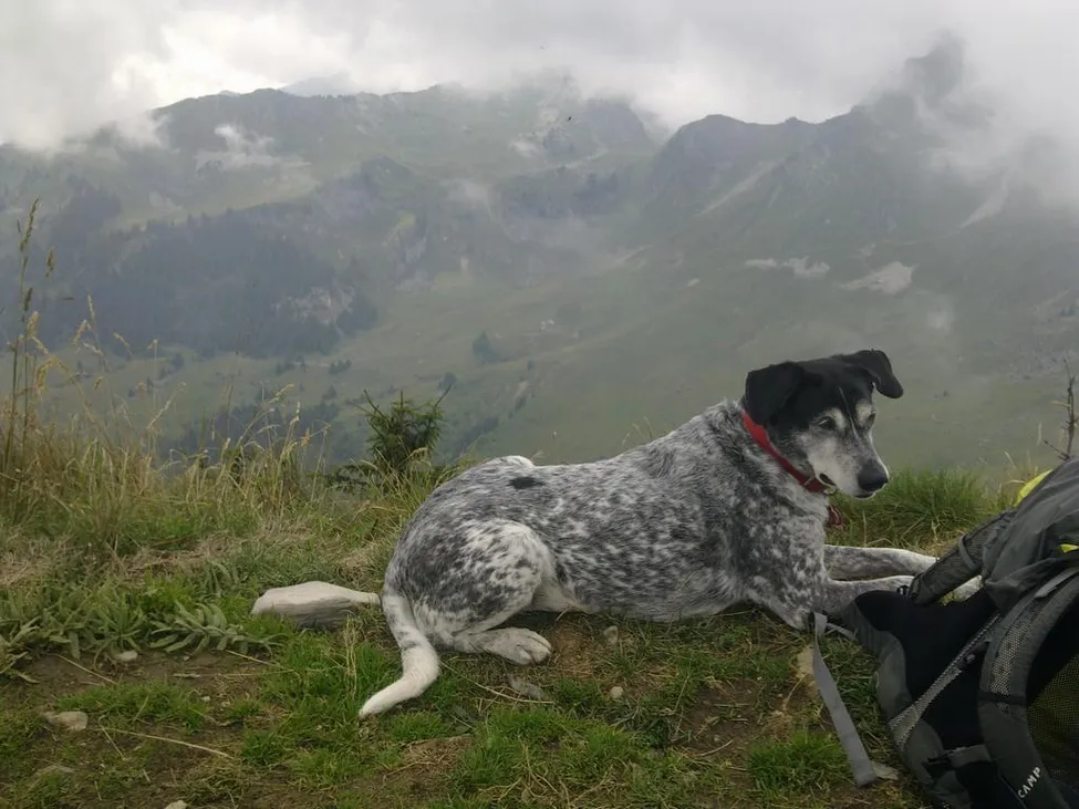 Klicka för att förstora