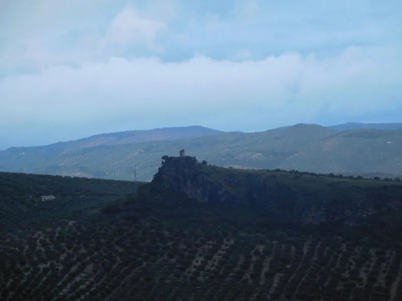 Klicka för att förstora