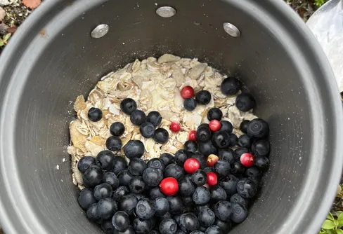 2 september – Sareks älgar