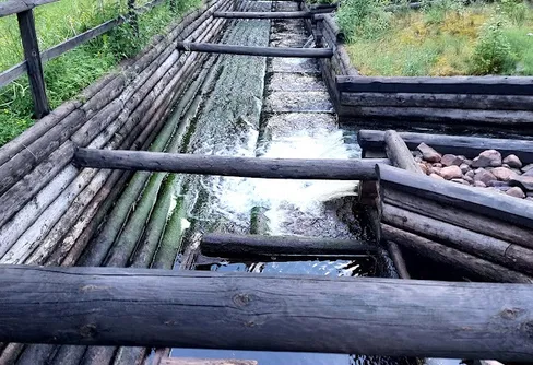 Vasaloppsleden dag 3