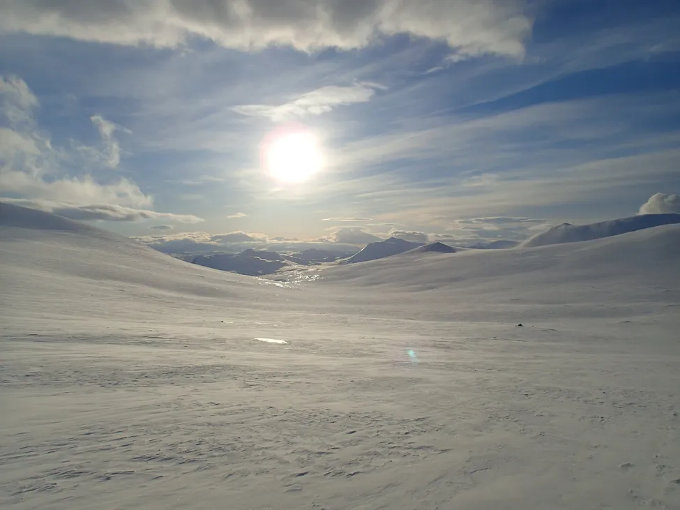 Klicka för att förstora