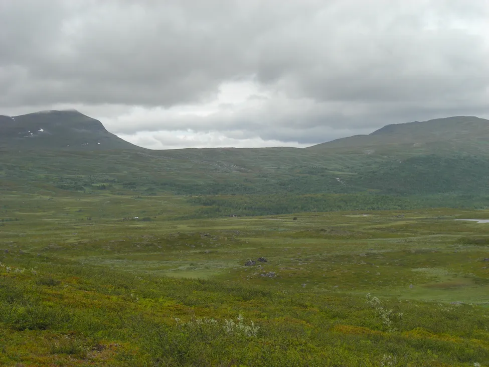 Klicka för att förstora