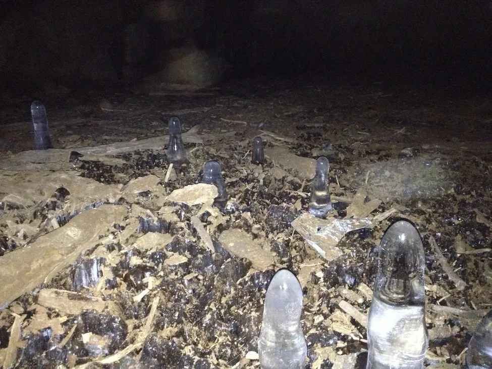 Klicka för att förstora