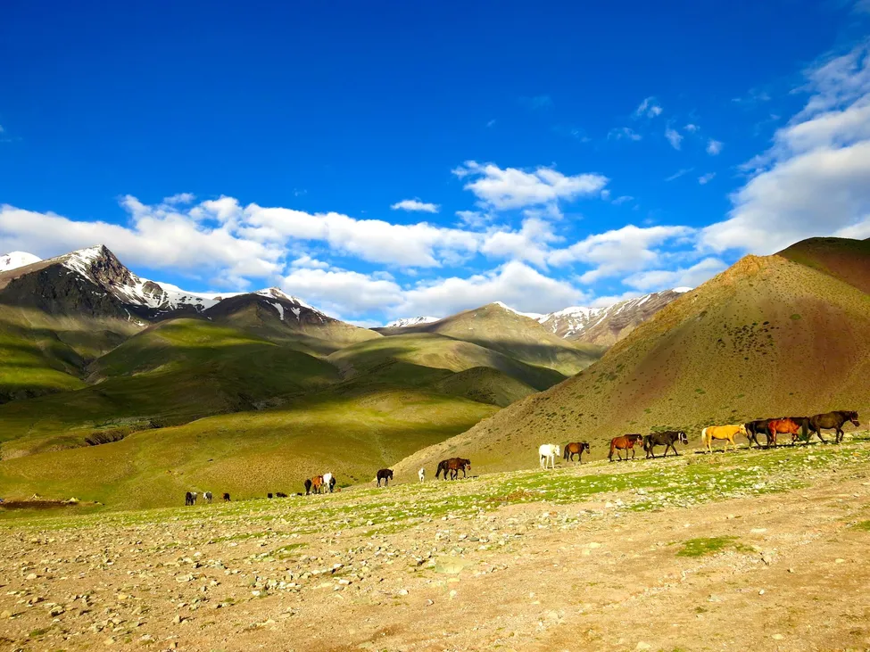 Klicka för att förstora