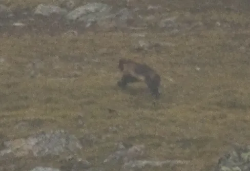 Planen del 2: Kaisekietj-tjåkkåhs hemligheter