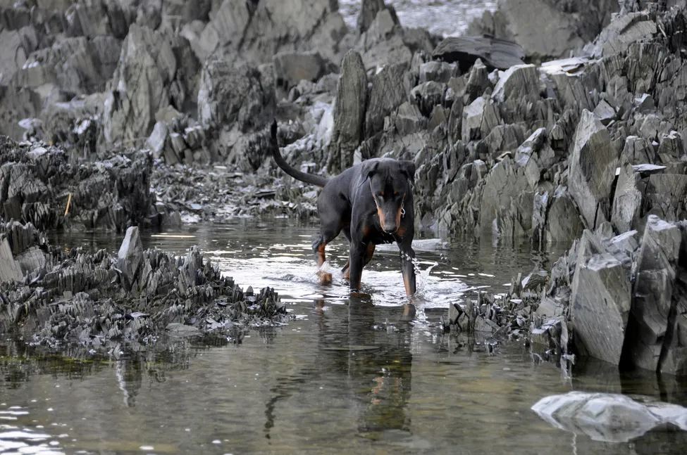 Klicka för att förstora