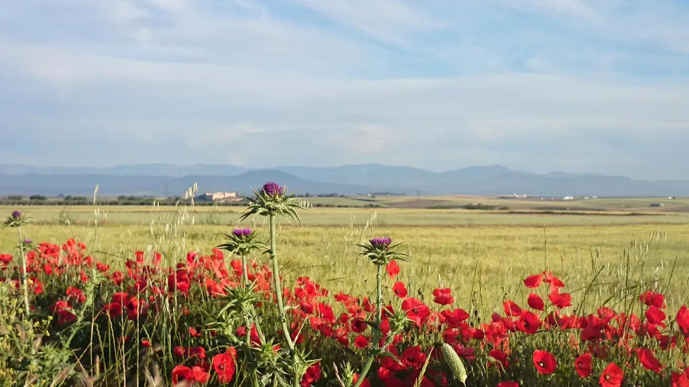Klicka för att förstora