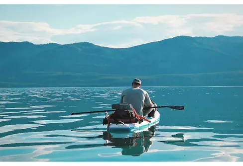 Ikväll på TV - När skogen tystnar