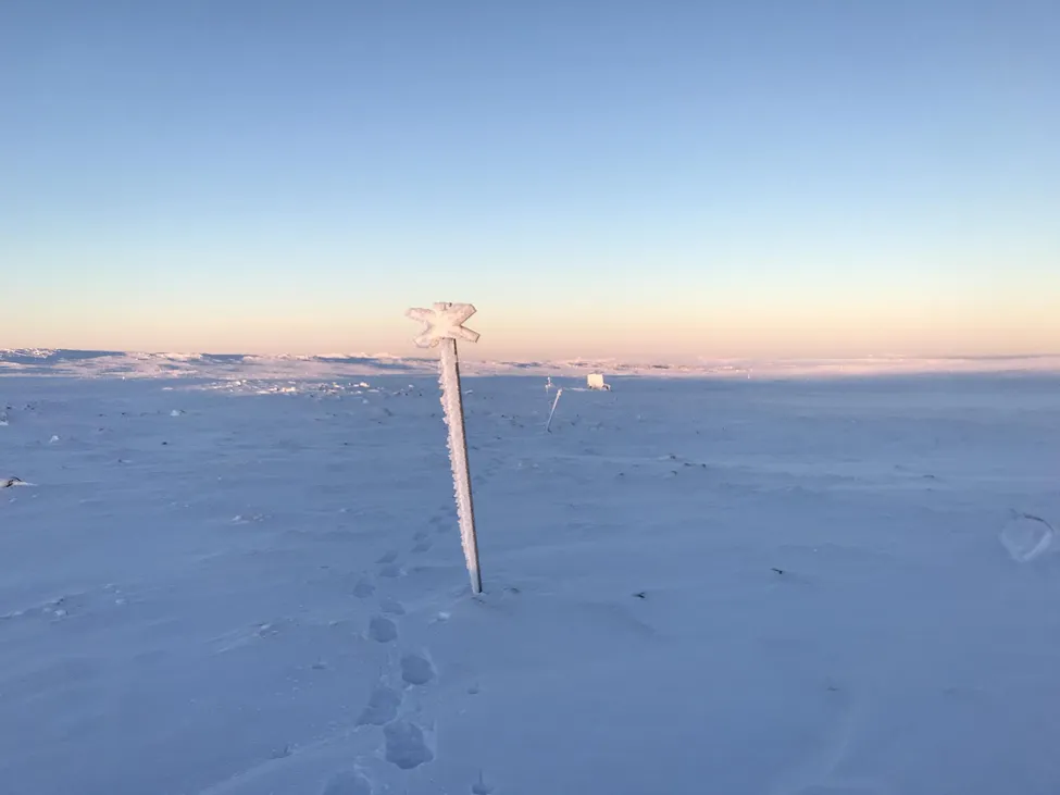 Klicka för att förstora
