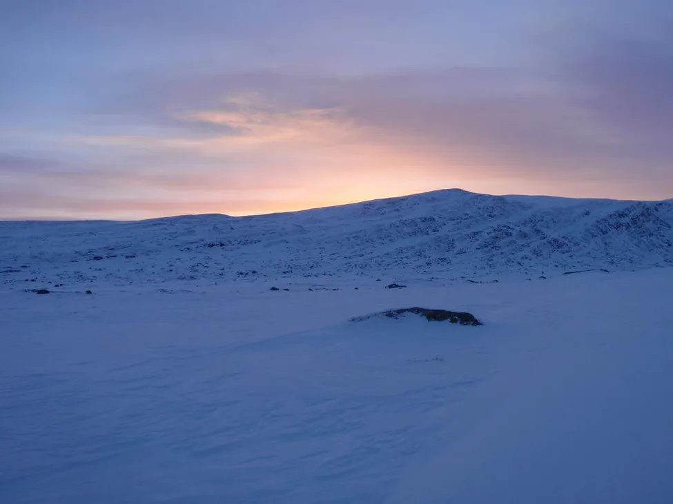Klicka för att förstora